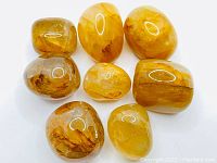 Eight smooth, polished natural Citrine tumbled stones displayed on a white background. Stones show varying shades of yellow and golden brown with natural inclusions and internal color variations.