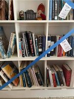 White shelving unit filled with various books including hardcover and paperback. Small decorative figurines on the top shelf.