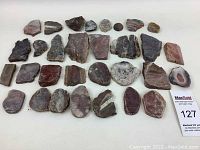 Overview of 29 various polished and raw rock specimens arranged on a white surface.