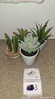 Four artificial succulents displayed together on carpet, showing overall lot contents.