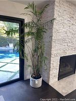 Full view of the tall palm plant in white decorative pot beside a fireplace and glass door showing the overall height and appearance.