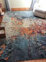 Photo showing the full rug in a living room setting with furniture around, highlighting the color and pattern.