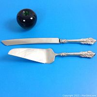 Top view showing both the large cake server and the serrated cutting knife with a green apple for size reference.