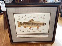 Framed wall art print showing brown trout and various fly fishing lures, front view with visible details and labels below the image.