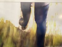 Close-up of the artwork showing abstract view of walking legs in motion with blurred ochre and green background.