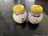 Photo showing both ceramic salt and pepper shakers with hand painted floral designs and yellow tops on a dark surface.