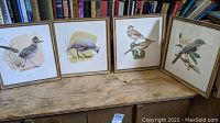 Four framed bird prints placed on wood surface, showing bird species in naturalistic artistic style, wooden frames with glass. Clear details of birds such as feathers and posture.