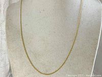 Full view of delicate thin 14K gold chain necklace hanging on display bust.