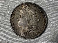Obverse side of 1891 Morgan Silver Dollar with visible toning and details of Lady Liberty's profile.