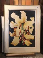 Full view of framed print showing yellow lily on dark ground