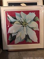 Overall view of framed white poinsettia print against red background