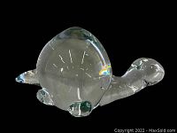 Clear blown glass turtle figurine on a black background showing the front and left side profile.