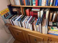 Shelf of assorted hardcover and paperback books including dog book 'My big book of Playful Puppies' and novels