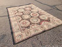 Area rug photographed flat on the ground showing overall pattern and condition.