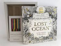 Photo showing the front cover of the "Lost Ocean" colouring book by Johanna Basford, the set of 24 double-ended coloured pencils, and the distressed wood frame.