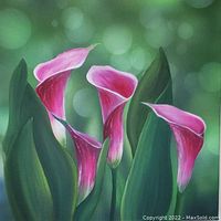 Front view of the 12" x 12" acrylic painting "Lilliscape One" featuring pink calla lilies with green leaves on a green blurred background.