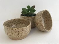 Three speckled pottery bowls arranged with one holding a small plant, showing color and texture.