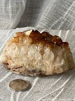 Natural citrine crystal cluster displayed alongside a coin for size reference, showing amber yellow crystal points gradually transitioning to clear quartz base.