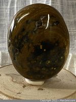 Full view of the polished tumbled Ocean Jasper stone placed on a neutral background showing glossy surface and earthy patterning.