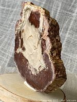 View of a reddish-brown polished slab with white and cream mineral sections, standing upright on a wood base.