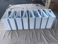 Photo showing sixteen white heavy duty 3-inch binders standing upright in a row on a blanket with boxes in the background.