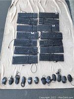 Photo showing 12 black wired keyboards arranged on a beige blanket, with 12 black wired computer mice laid out below them. All keyboards and mice appear used but in good condition. Keyboard cords are coiled or laid out. The mice have their cords secured with black tape.