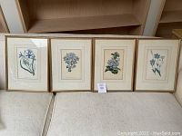 All four framed botanical prints lined up side by side on a cushioned bench under shelving.