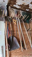 Photo showing assorted shovels, rakes, and pitch forks hanging on wooden wall.