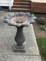 Full view of the concrete birdbath standing outdoors on a concrete surface near garden beds. Birdbath has flared pedestal and flower petal edge basin.