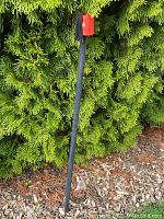 Full view of the black wooden cane showing its length outdoors against greenery.