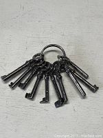 Ring of 11 blackened metal keys spread fanned on a white background.