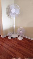 Photo showing all three fans grouped against a corner wall on a wooden floor: one large pedestal fan and two smaller desktop fans.