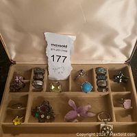 Full view of collection including various rings, brooches, a key ring pendant, and jewelry box