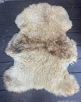 Top side of the natural sheep skin pelt showing fluffy wool in beige and brownish colors with natural shape edges.