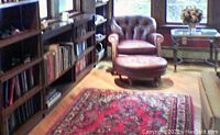 Rug laid out in library setting with shelves and chair to show pattern and colors