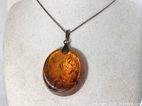 Front view of round amber pendant on display bust