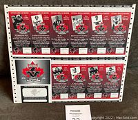 Full view of the 1996 Ottawa Rough Riders ticket uncut sheet showing 10 tickets and 120 Years of Football Tradition emblem and subscriber card.