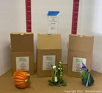 Three boxed Enesco Home Grown resin figurines with one of each stated figurines displayed in front of their boxes