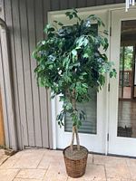 Full view of the six-foot artificial ficus tree placed outdoors near a doorway, showing the full height and base basket planter.