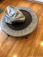 Mini trampoline and yoga ball positioned together on wooden floor, showing trampoline flat and yoga ball in cover beside it.