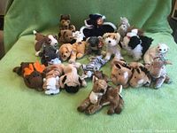 Full lot of 23 Ty Beanie Babies plush toys, mostly dog breeds, arranged on green surface, showing front and side view of most toys.