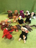 Photo of all Ty Beanie Babies showing variety of animal characters on green background.