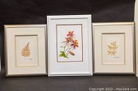 Three framed floral prints displayed side by side on black backdrop, middle print larger and signed.