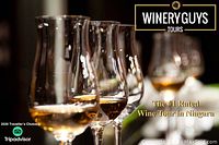 Four wine glasses with white wine and WineryGuys Tours branding