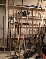 Photo shows a collection of wooden-handled rakes, shovels, a manual lawn aerator, and a broom leaning against a wall in a basement space with shelving behind them.
