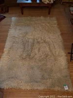 Full view of cream-colored shag rug on hardwood floor