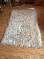 Full top-down view showing the entire rug laid out on hardwood floor.