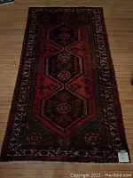 Full top-down view of the entire runner on hardwood floor