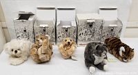 Overview of all five stuffed animals in front of their illustrated boxes including white dog, brown dog, grey cat, tiger, and lion cub.
