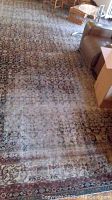 Overall view of full rug laid out in living area showing overall size and pattern.